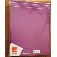 Paquet de Cahier 100P TRIO