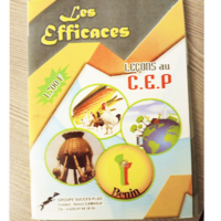 Leçon au CEP "Les efficaces"