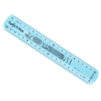 Règle plate 20cm flexible