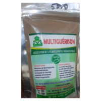MULTIGUERISON 130G