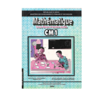 CAHIER D'ACTIVITE MATHEMATIQUES CM1