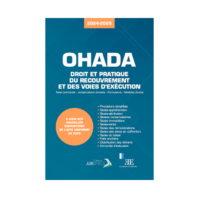 Droit et Pratique du recouvrement et des voies d'exécution