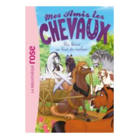 Mes amis les chevaux – Image 2