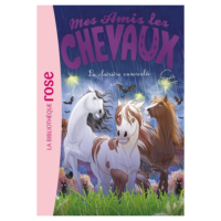 MES AMIS LES CHEVAUX