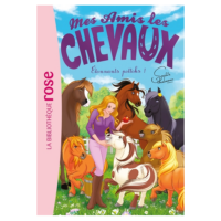 MES AMIS LES CHEVAUX – Image 2