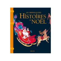 LES MERVEILLEUSES HISTOIRES DE NOEL